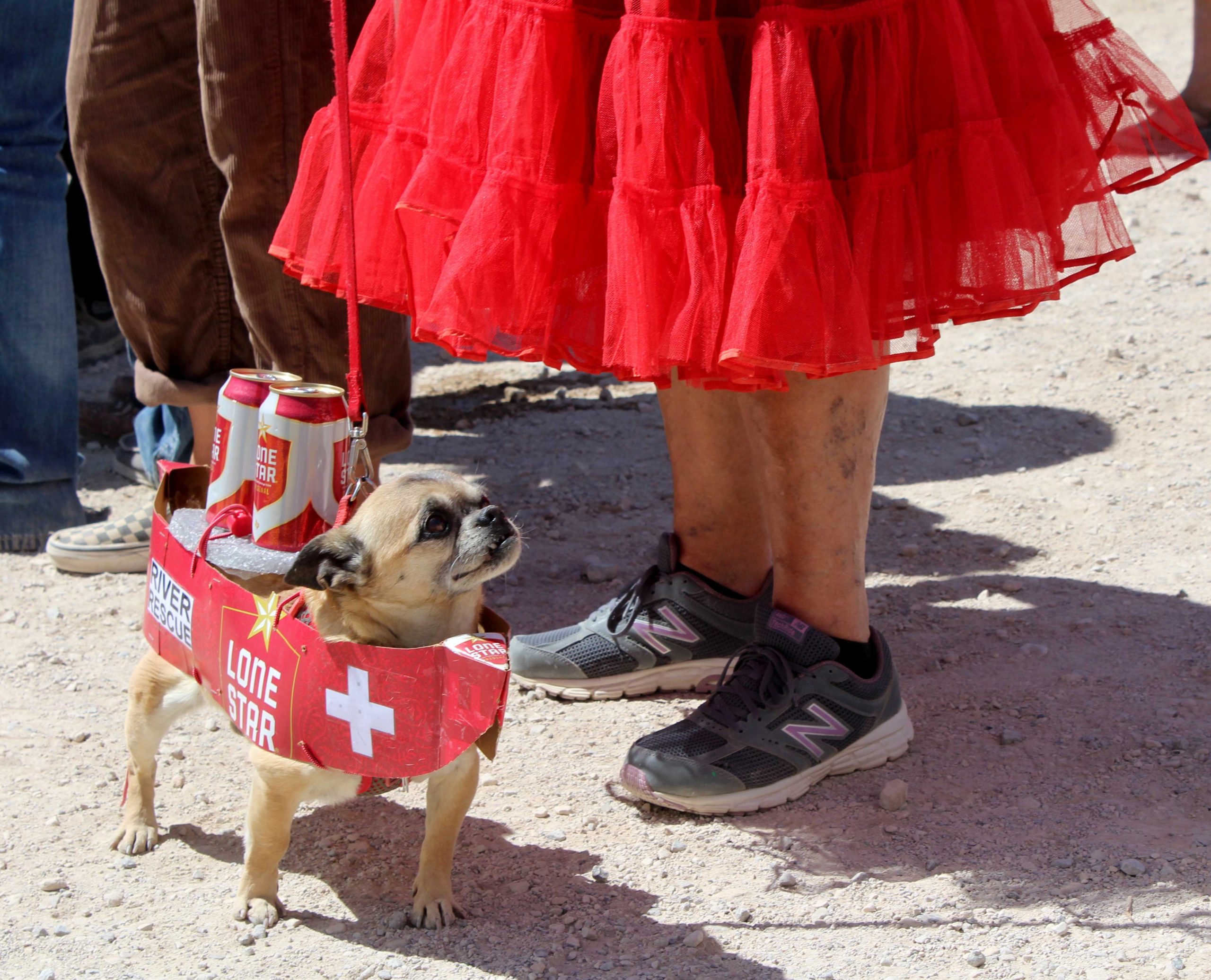 Big Bend News in Far West Texas The Big Bend Sentinel