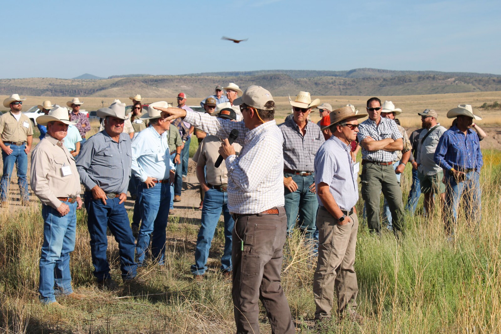 Fort Davis, Texas News The Big Bend Sentinel