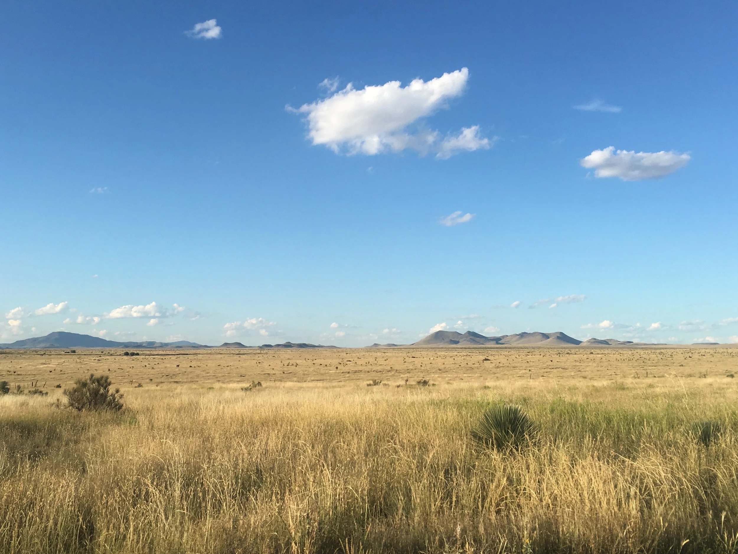 Scammer tries to sell man’s property twice